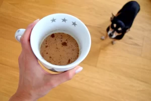 قهوه در لیست غذاهای ممنوعه برای سگ ها 
