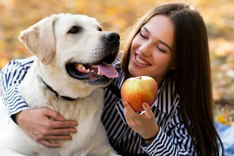 میوه برای سگ 