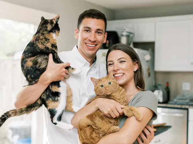 یک زوج با دو گربه 