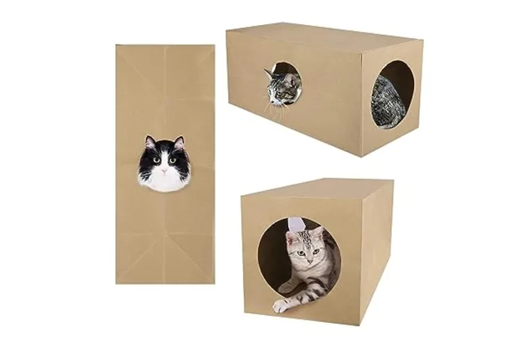 عکس تونل بازی گربه با مقوا 
