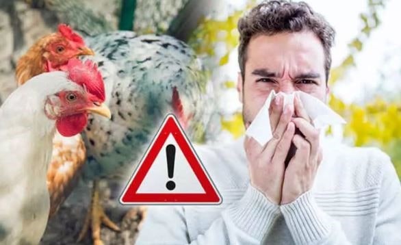 یک انسان بیمار که از آنفلوانزای مرغی رنج میبرد